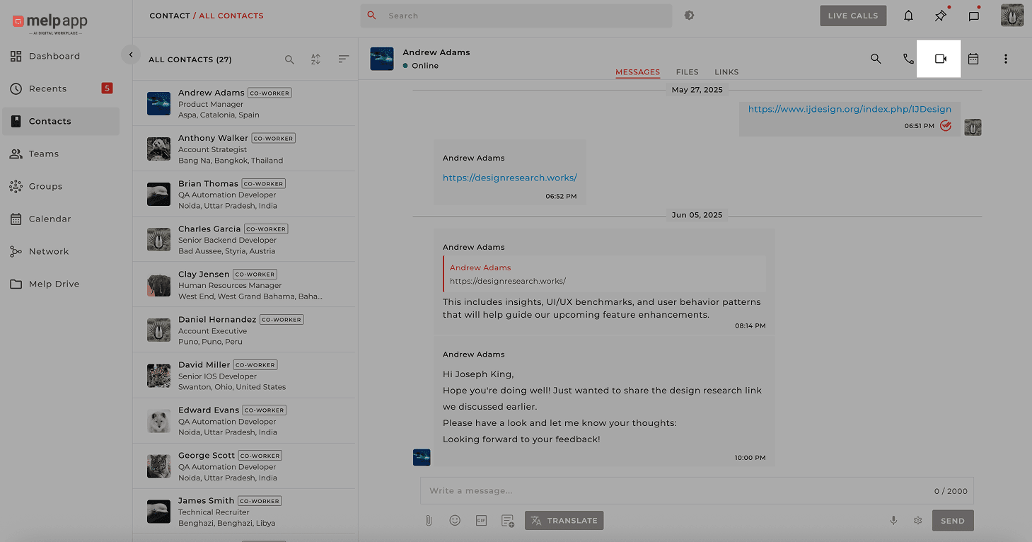 Video call interface