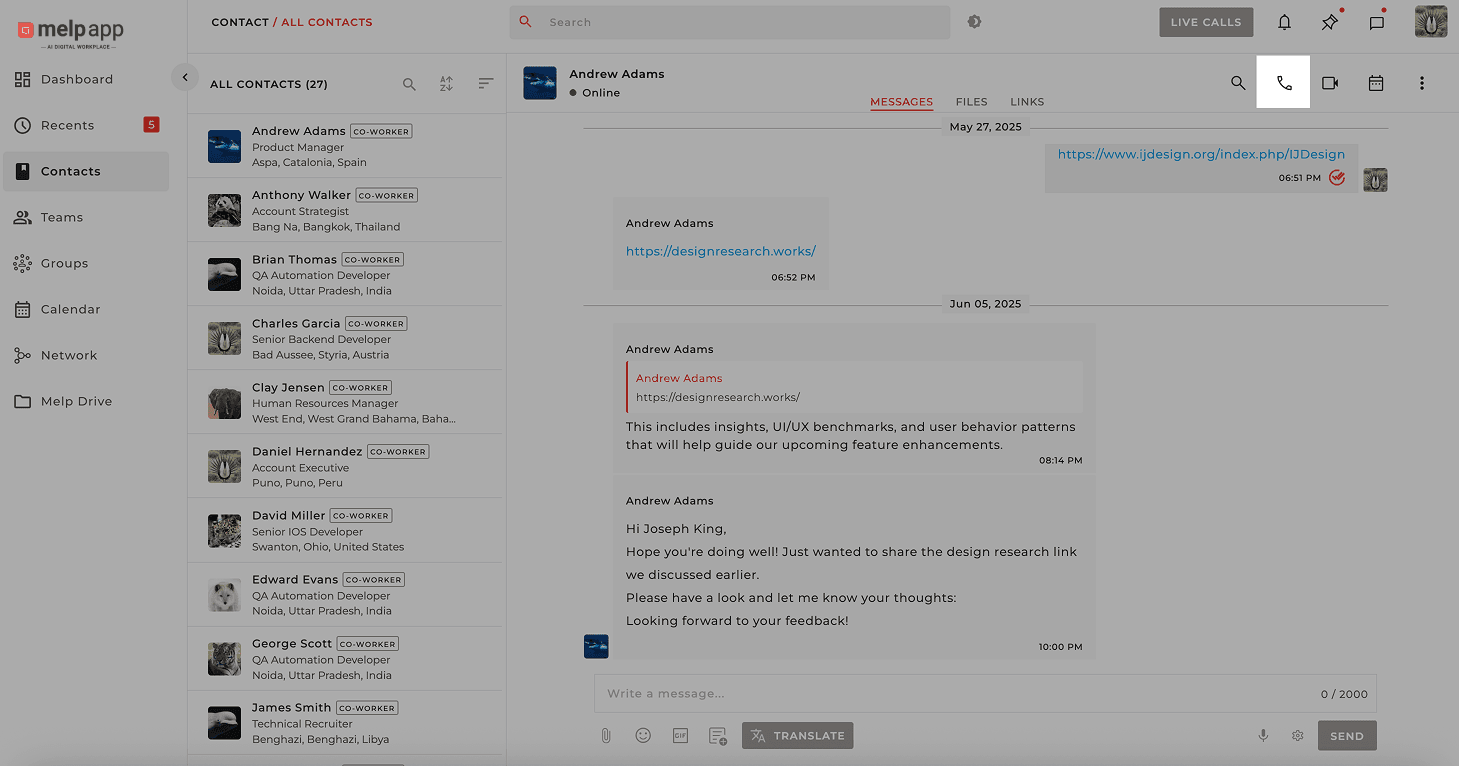 Voice call interface