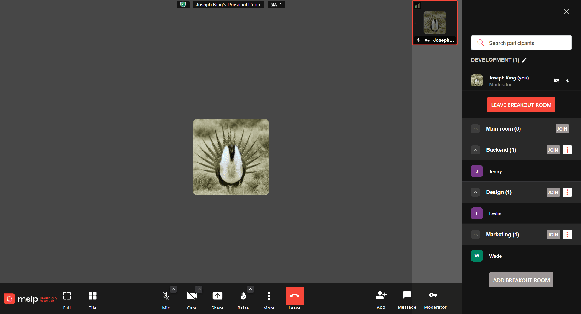 Melp call interface with breakout rooms for private team collaboration.